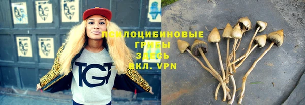 ГАЛЛЮЦИНОГЕННЫЕ ГРИБЫ Балабаново