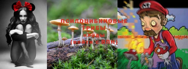 соль ск Арсеньев