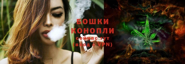 индика Каменск-Шахтинский