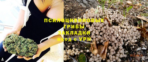 прущие грибы Каменка